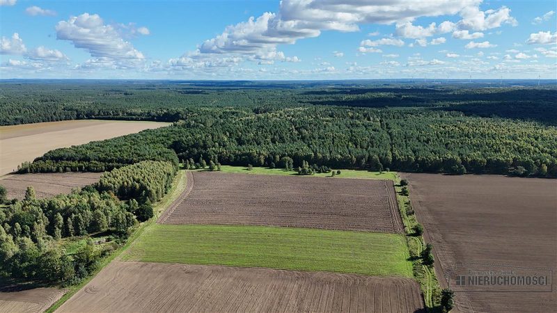 Działka na sprzedaż 3 001 m²: Cztery działki rolne przy lesie w Dargikowie, 8 km od Białogardu
