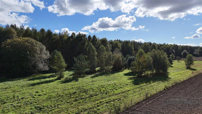 Działka na sprzedaż 3 001 m²: Cztery działki rolne przy lesie w Dargikowie, 8 km od Białogardu