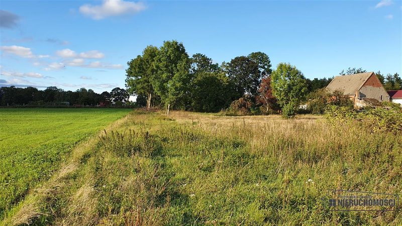 Działka na sprzedaż 1 145 m²: Cztery działki budowlane między polami a lasem w Dargikowie, 7 km od Białogardu
