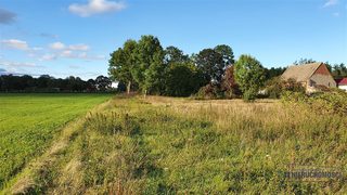 Cztery działki budowlane między polami a lasem w Dargikowie, 7 km od Białogardu zdjęcie 2