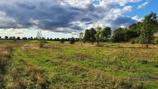 Cztery działki budowlane między polami a lasem w Dargikowie, 7 km od Białogardu zdjęcie 4