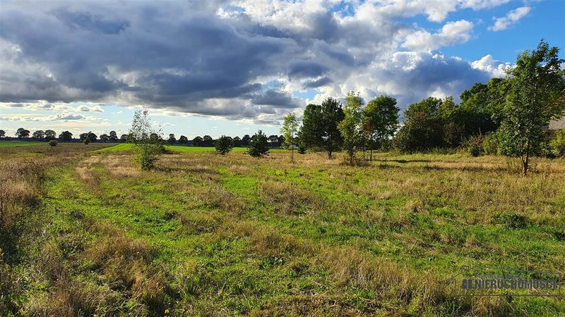 Działka na sprzedaż 1 145 m²: Cztery działki budowlane między polami a lasem w Dargikowie, 7 km od Białogardu