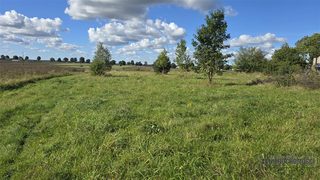 Cztery działki budowlane między polami a lasem w Dargikowie, 7 km od Białogardu zdjęcie 5