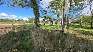 Cztery działki budowlane między polami a lasem w Dargikowie, 7 km od Białogardu zdjęcie 6