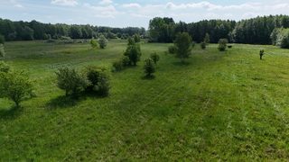 Dziewięć działek budowlanych na polanie wśród lasów w Łęcznie, 4 km od Białogardu zdjęcie 6