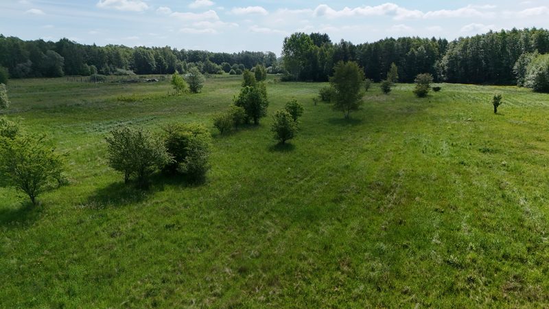 Działka na sprzedaż 1 689 m²: Dziewięć działek budowlanych na polanie wśród lasów w Łęcznie, 4 km od Białogardu
