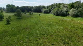 Dziewięć działek budowlanych na polanie wśród lasów w Łęcznie, 4 km od Białogardu zdjęcie 7