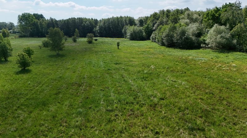 Działka na sprzedaż 1 689 m²: Dziewięć działek budowlanych na polanie wśród lasów w Łęcznie, 4 km od Białogardu