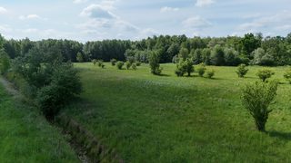 Dziewięć działek budowlanych na polanie wśród lasów w Łęcznie, 4 km od Białogardu zdjęcie 8