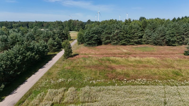 Działka na sprzedaż 1 000 m²: Działki budowlane na sprzedaż w Drzonowie, 13 km od Białego Borka