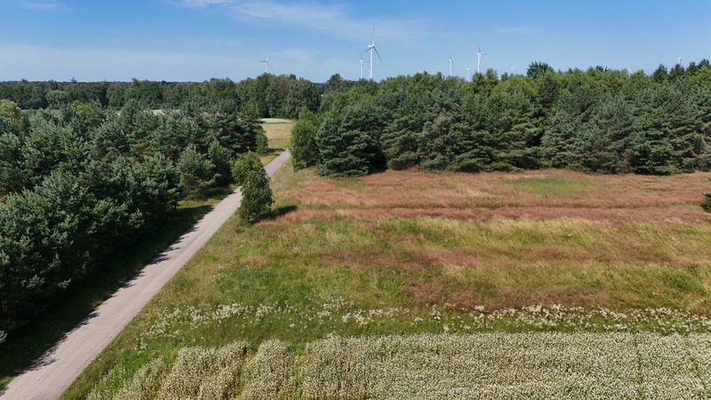 Działka na sprzedaż 1 000 m²: Działki budowlane na sprzedaż w Drzonowie, 13 km od Białego Borka