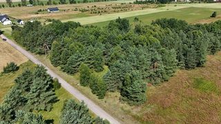 Działki budowlane na sprzedaż w Drzonowie, 13 km od Białego Borka zdjęcie 9