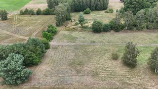 Działki budowlane na sprzedaż w Breniu, 11 km od Dobiegniewa zdjęcie 6