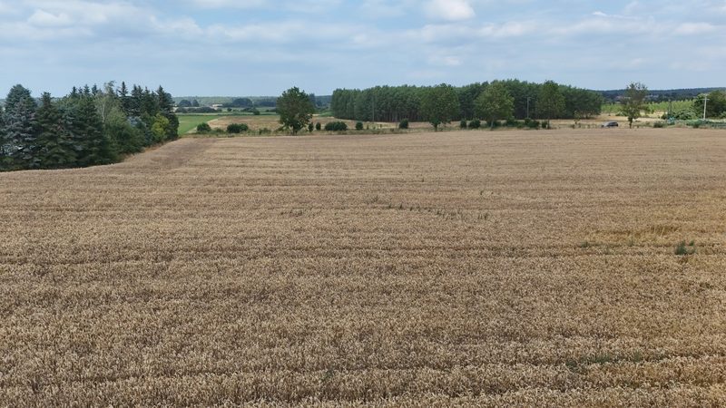 Działka na sprzedaż 12 672 m²: Działka budowlana na sprzedaż w Breniu