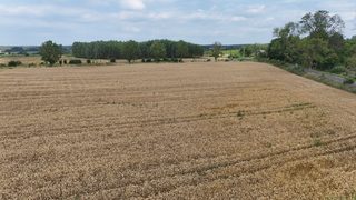 Działka budowlana na sprzedaż w Breniu zdjęcie 11