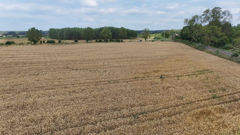 Działka na sprzedaż 12 672 m²: Działka budowlana na sprzedaż w Breniu