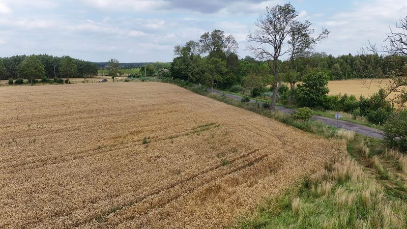Działka na sprzedaż 12 672 m²: Działka budowlana na sprzedaż w Breniu