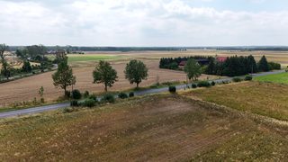 Działka budowlana na sprzedaż w Breniu zdjęcie 17