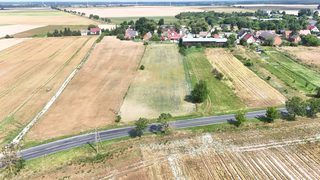 Działka rolna przy drodze w Zemsku, 10 km od Skwierzyny, zdjęcie 3