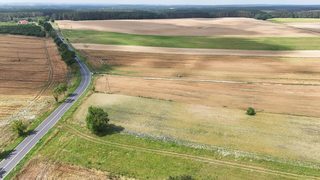 Działka rolna przy drodze w Zemsku, 10 km od Skwierzyny, zdjęcie 6