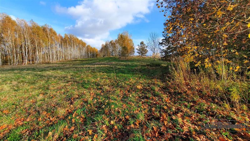 Działka na sprzedaż 1 000 m²: Działki budowlane na sprzedaż w Głodowej