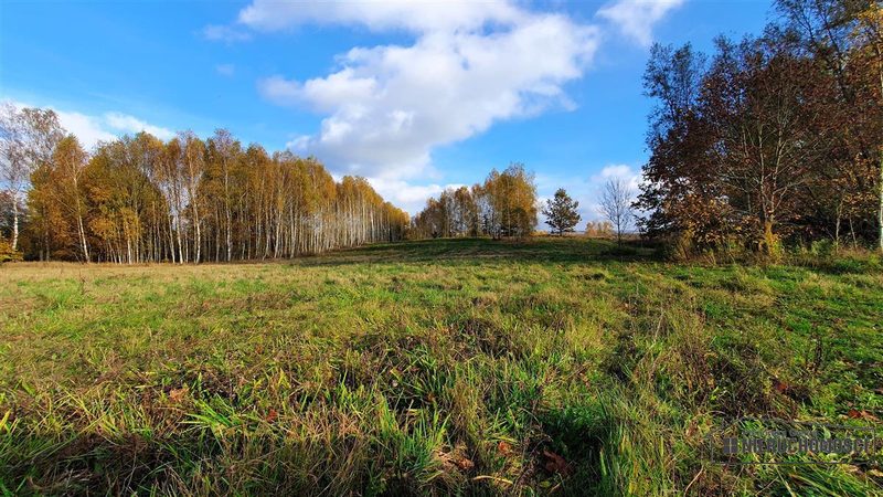Działka na sprzedaż 1 000 m²: Działki budowlane na sprzedaż w Głodowej