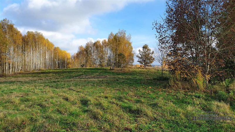 Działka na sprzedaż 1 000 m²: Działki budowlane na sprzedaż w Głodowej