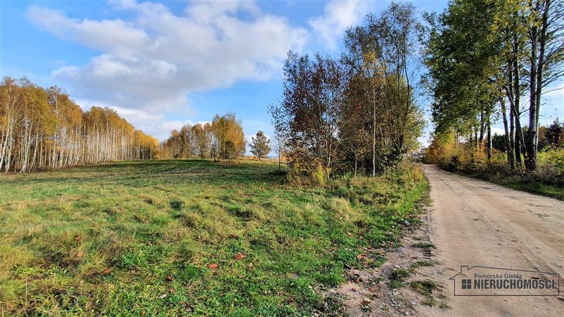Działka na sprzedaż 1 000 m²: Działki budowlane na sprzedaż w Głodowej