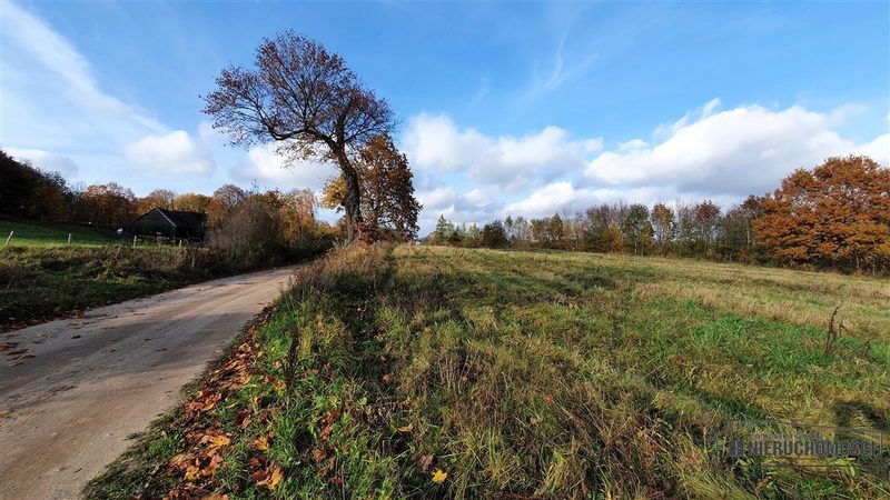Działka na sprzedaż 1 000 m²: Działki budowlane na sprzedaż w Głodowej
