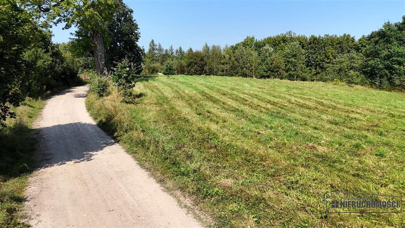 Działka na sprzedaż 1 000 m²: Działki budowlane na sprzedaż w Głodowej