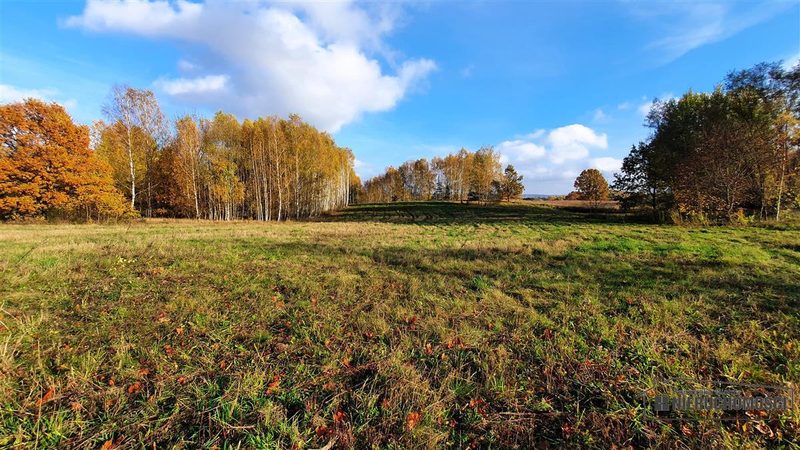 Działka na sprzedaż 1 000 m²: Działki budowlane na sprzedaż w Głodowej