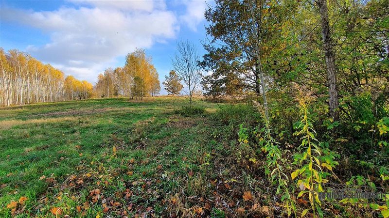 Działka na sprzedaż 1 000 m²: Działki budowlane na sprzedaż w Głodowej