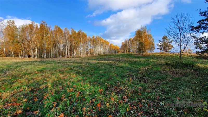 Działka na sprzedaż 1 000 m²: Działki budowlane na sprzedaż w Głodowej