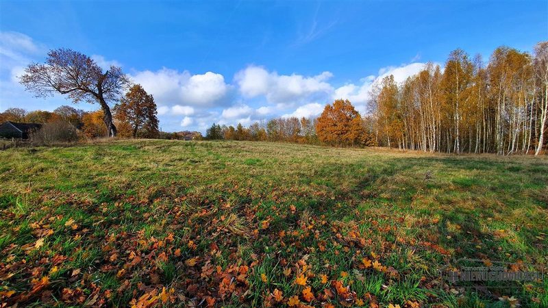 Działka na sprzedaż 1 000 m²: Działki budowlane na sprzedaż w Głodowej