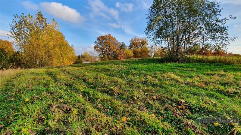 Działka na sprzedaż 1 506 m²: Działki budowlane na sprzedaż w Głodowej
