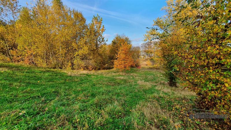 Działka na sprzedaż 1 506 m²: Działki budowlane na sprzedaż w Głodowej