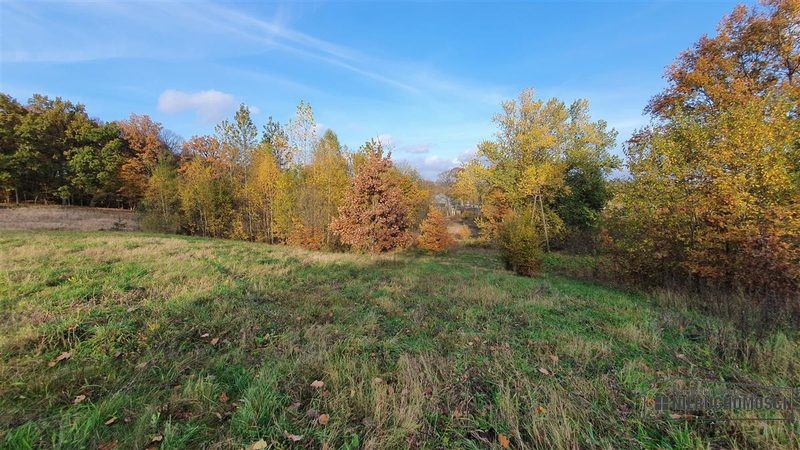 Działka na sprzedaż 1 506 m²: Działki budowlane na sprzedaż w Głodowej