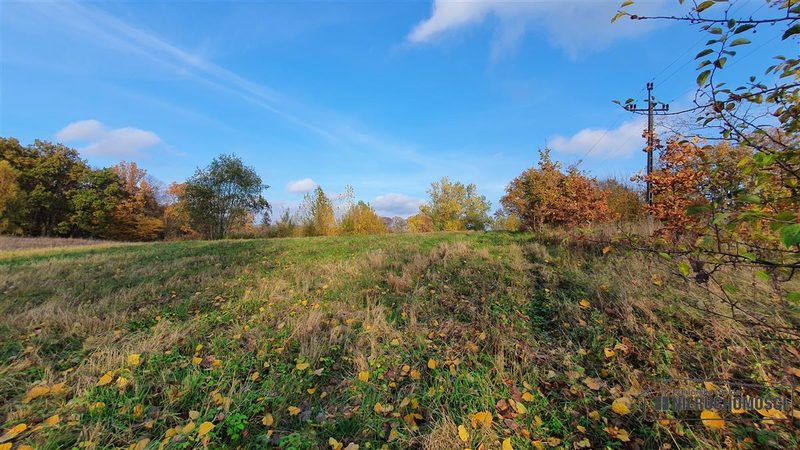 Działka na sprzedaż 1 506 m²: Działki budowlane na sprzedaż w Głodowej
