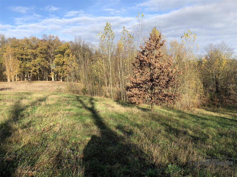 Działka na sprzedaż 1 506 m²: Działki budowlane na sprzedaż w Głodowej