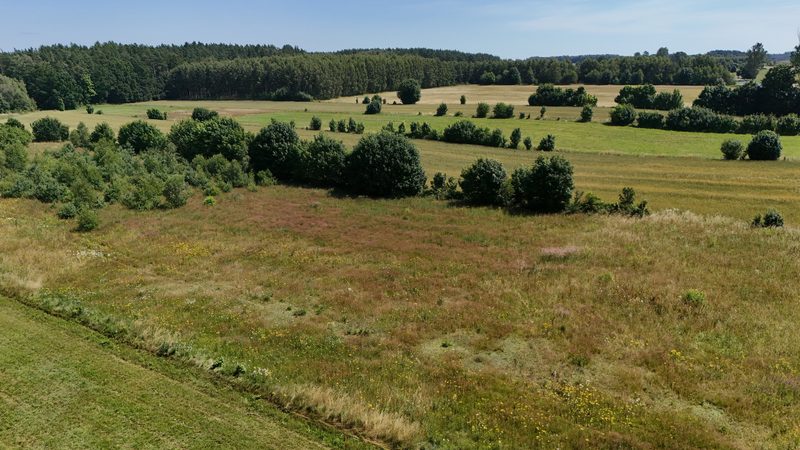 Działka na sprzedaż 4 654 m²: Działka budowlana na sprzedaż w Kłaninie
