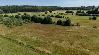 Działka budowlana na sprzedaż w Kłaninie zdjęcie 6