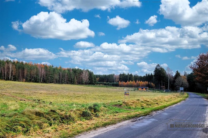 Działka na sprzedaż 2 799 m²: Działka budowlana na sprzedaż w Ubiedrzu
