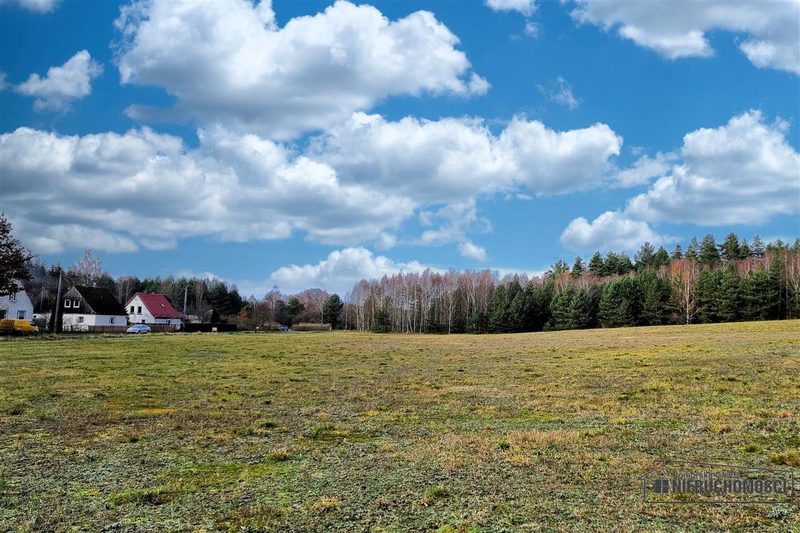Działka na sprzedaż 2 799 m²: Działka budowlana na sprzedaż w Ubiedrzu