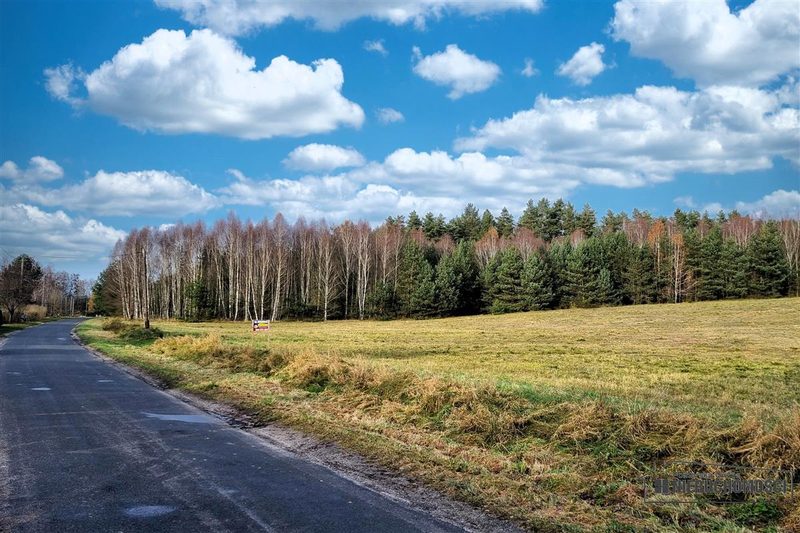 Działka na sprzedaż 2 799 m²: Działka budowlana na sprzedaż w Ubiedrzu