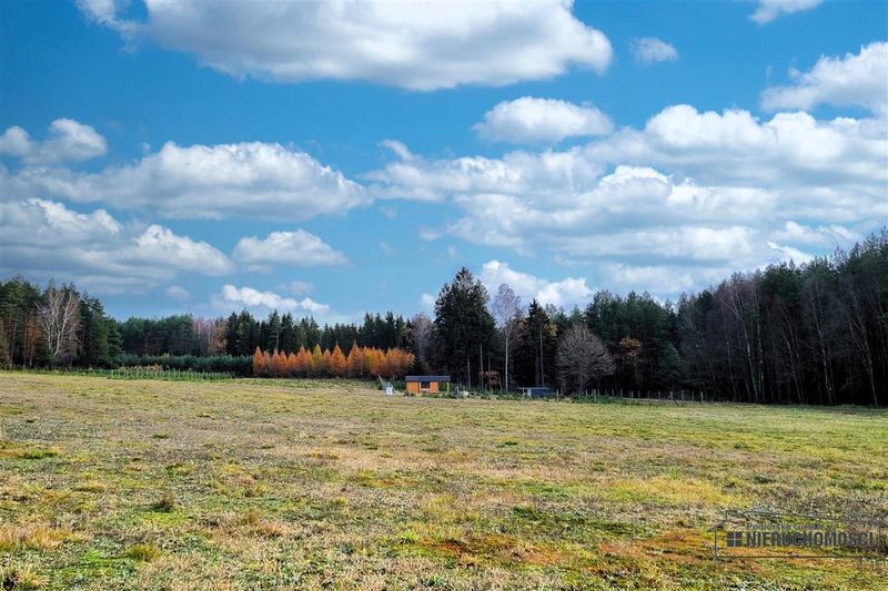 Działka na sprzedaż 2 799 m²: Działka budowlana na sprzedaż w Ubiedrzu