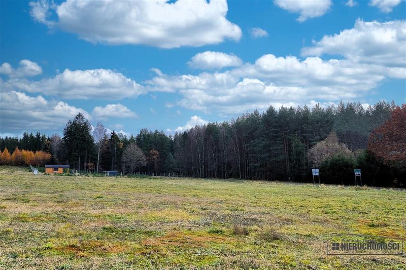 Działka na sprzedaż 2 799 m²: Działka budowlana na sprzedaż w Ubiedrzu