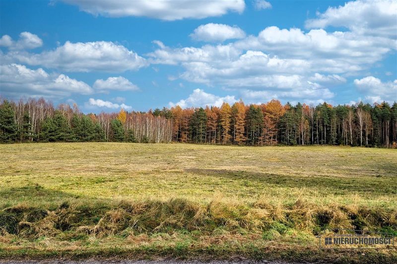 Działka na sprzedaż 2 799 m²: Działka budowlana na sprzedaż w Ubiedrzu