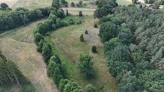 Działka rolna w Ostoi Drawskiej przy Mulitem, 9 km od Świdwina, zdjęcie 11