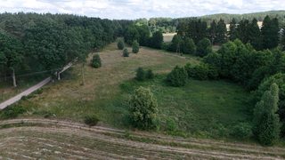 Działka rolna w Ostoi Drawskiej przy Mulitem, 9 km od Świdwina, zdjęcie 15