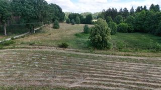 Działka rolna w Ostoi Drawskiej przy Mulitem, 9 km od Świdwina, zdjęcie 16